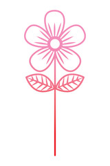 flower stem petals decoration image vector illustration degrade color line