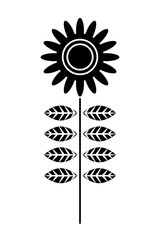 flower stem petals decoration image vector illustration black and white design