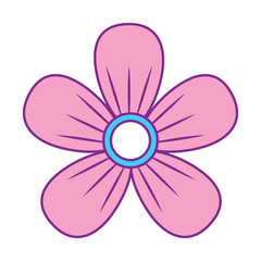 flower decoration ornament natural vector illustration pink and blue design