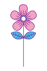 flower stem petals decoration image vector illustration pink and blue design