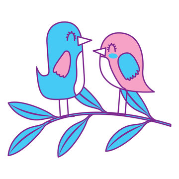 cute couple birds together in tree branch vector illustration pink and blue design