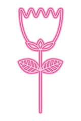 flower tulip stem petals decoration vector illustration neon design