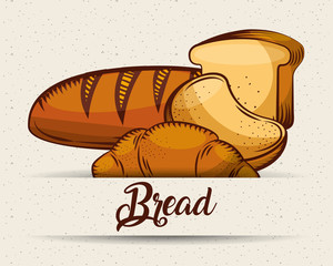 bread bakery products food template image vector illustration
