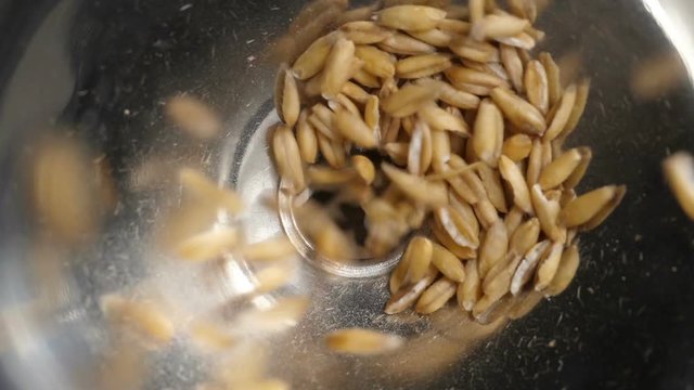 Seeds of oats fall in a metal funnel in slow motion. High angle view.
