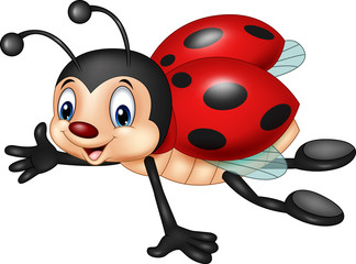 Cartoon funny ladybug © tigatelu
