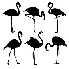 illustration with set of seven flamingo silhouettes isolated on white background