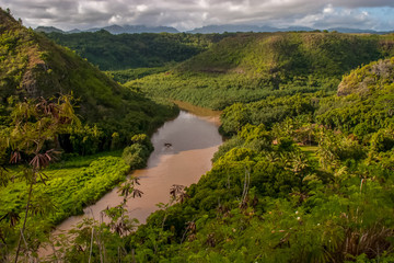 Fototapeta na wymiar Waimea River overlook on the lovely Island of Kauai