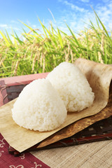 おにぎり(銀シャリ)と稲穂