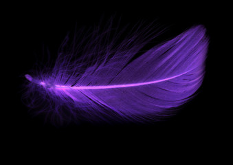 Blue feather on a black background