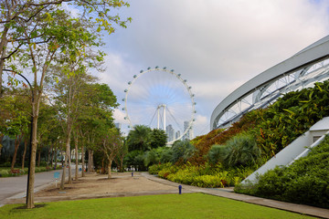 Сингапур. Вид на колесо обозрения из парка Gardens by the Bay.