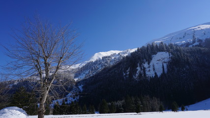 Fernpass, Tirol, &Ouml;sterreich, Strasse zwischen Reutte und Nassereith mit Zugspitze