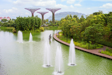 Сингапур. Гигантские деревья у залива.Футуристические сады Сингапура. Bay South Garden. Оранжерея.