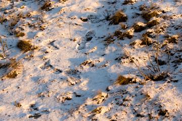 Snow on the ground in the rays of the sunset as a background