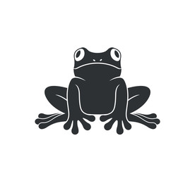 Red eye frog. Tree frog. Isolated frog on white background