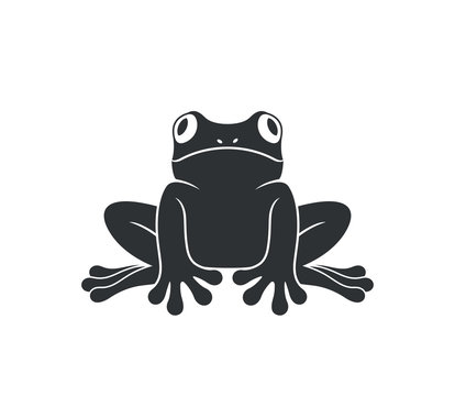 Red eye frog. Tree frog. Isolated frog on white background