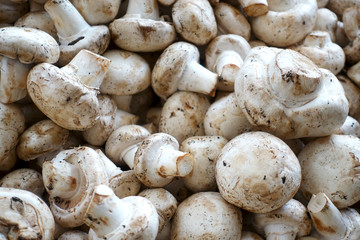 Close-up of mushrooms on the counter. Pile of champignons as a background.  
