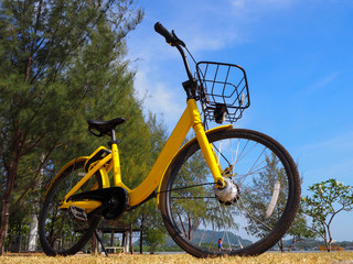 City bikes rent parking in Phuket Thailand