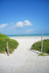 Sand path going to the beach, caribbean island