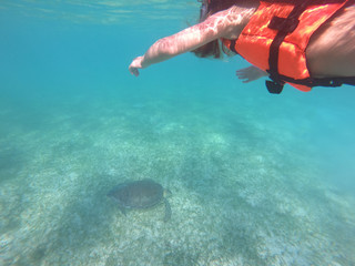Little girl snorkeling in Caribbean sea, turtle watch
