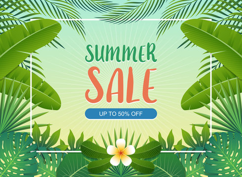 Summer sale background banner with green exotic palm leaves and tropical plants, summer sale concept. Vector illustration