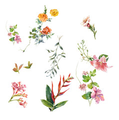 watercolor painting of leaves and flower, on white background