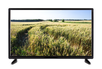 Modern high-definition TV with field of green ears on the screen