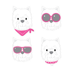 Cartoon cute fashion white Terrier vector