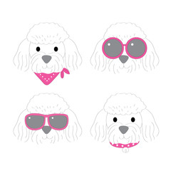 Cartoon cute fashion white poodle dog vector.