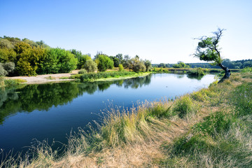 Tranquil river flowing through field with green trees