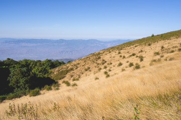 Fototapeta premium Doi Inthanon National Park Kew Mae Pan, The top highest mountain of Thailand