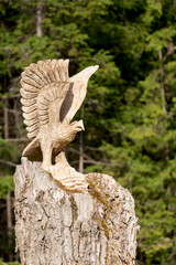 big wooden eagle statue