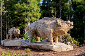 big wooden Wild boar statue