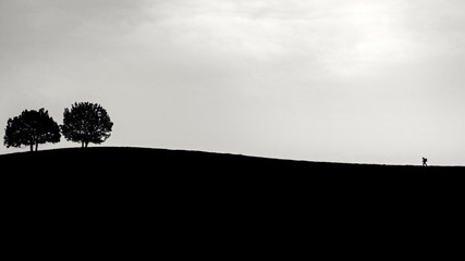 Lonely mountaineer silhouette walking over hill showing his perseverance black and white photo