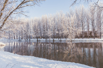 Reflejo de arboles nevados en el río