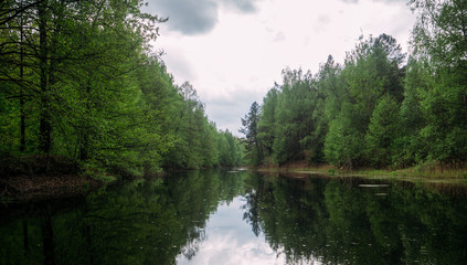 Fototapeta na wymiar Forest river in Russia