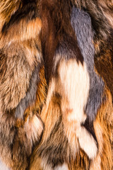 Naklejka premium Nahaufnahme Pelz