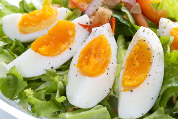 ゆで卵の野菜サラダ