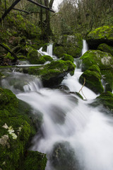 Salto de agua en un bosque humedo. Barranco de Arritzaga, Gipuzkoa, España