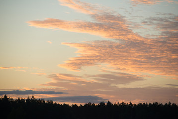 Orange clouds on the sunrise under the forest. Latvia
