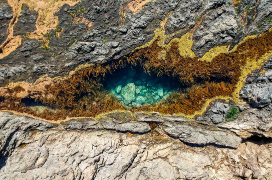 Stunning close up aerial drone view of a rock pool at the Mermaid Rock Pools  at Matapouri Bay near Whangarei on the North Island of New Zealand. The rock pools are a popular tourist destination. 