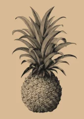 Fotobehang Pineapple hand drawing vintage engraving style © channarongsds