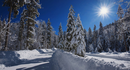 Straße im verschneiten Winterwald bei Kreuth