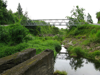 Les Trois Bassins / La Reunion: Lush vegetation around the truss bridge on the Route D&eacute;partementale 3 over an overgrown riverbed leading to the Great Ravine