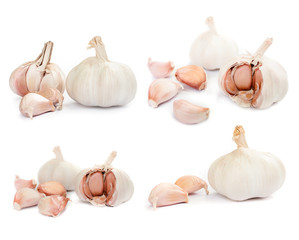 Group of garlic clove the ingredients and recipes for cooking on white background.