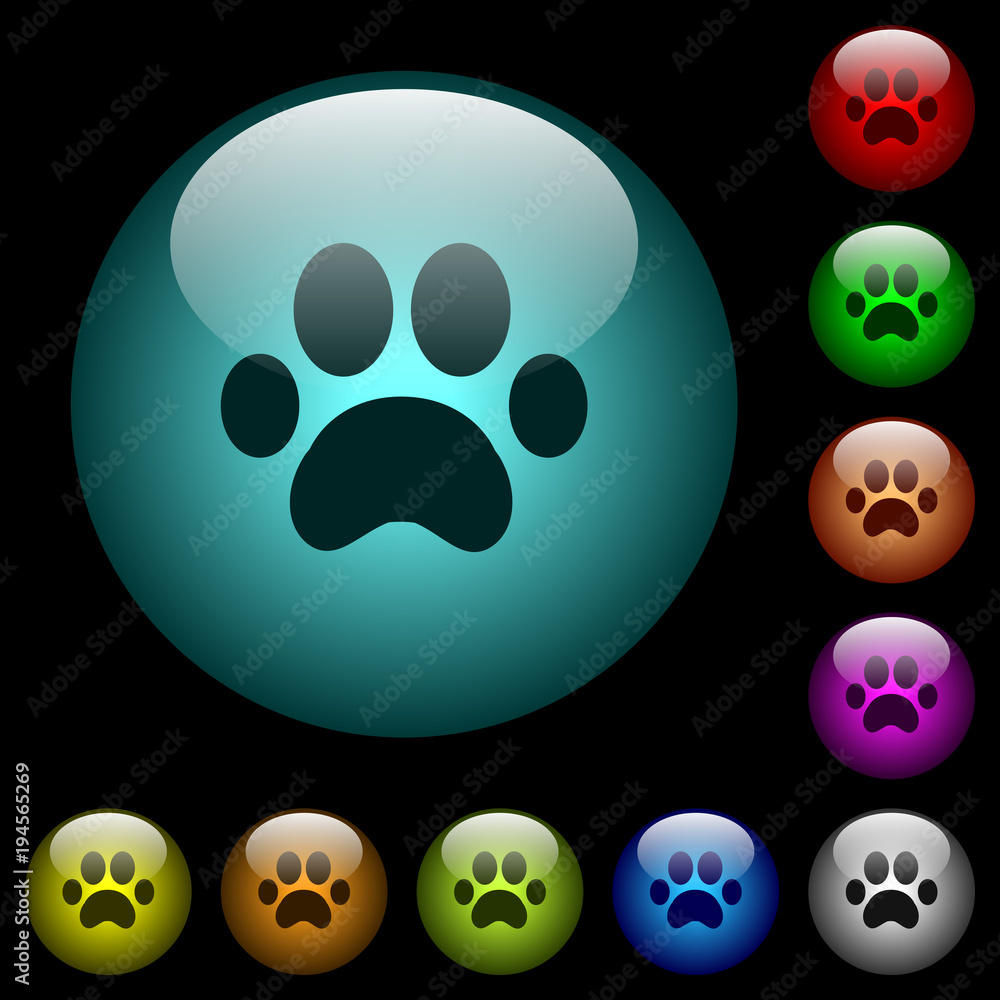 Poster paw prints icons in color illuminated glass buttons