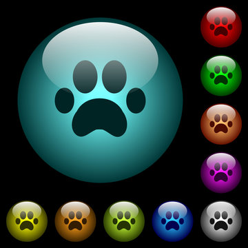 Paw prints icons in color illuminated glass buttons
