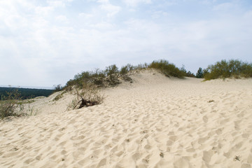 Dunes outside Nida on the Curonian Spit along the coast of Lithuania