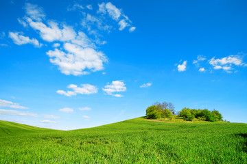 Green Fields, Rolling Hills, Spring Landscape under Blue Sky