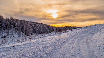snow in a forest glade in the winter. sunset over the forest. cloudy sky over the forest. footprints in the snow