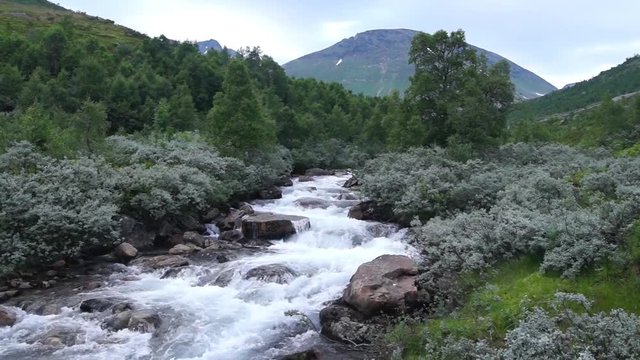Wild water stream in Norway